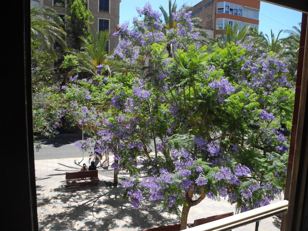 Valencia *